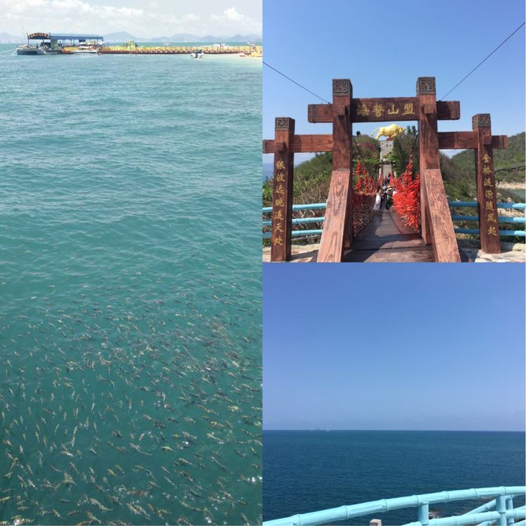 大阳城集团娱乐网