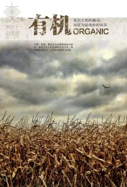 大阳城集团娱乐网