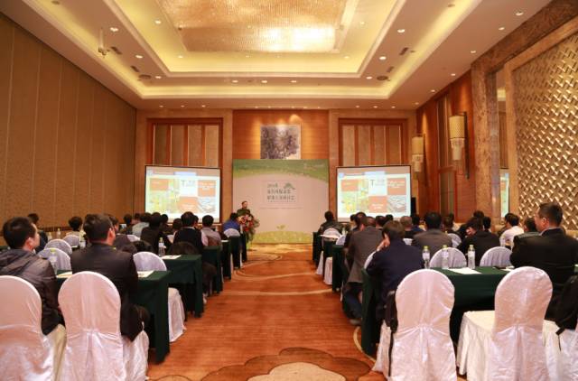 大阳城集团娱乐网