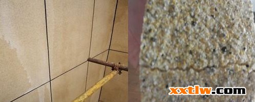 大阳城集团娱乐网