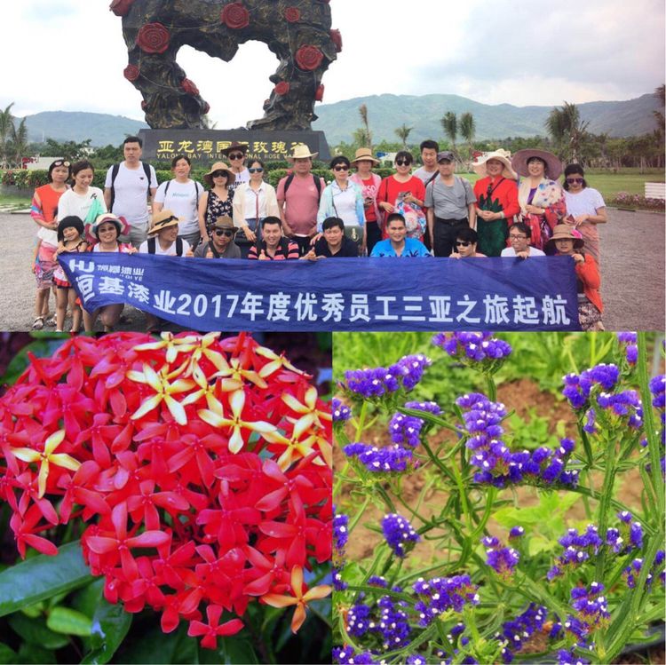 大阳城集团娱乐网