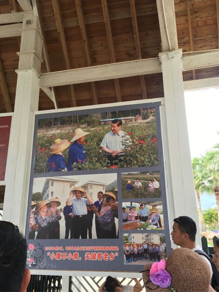 大阳城集团娱乐网