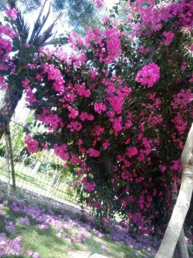 大阳城集团娱乐网