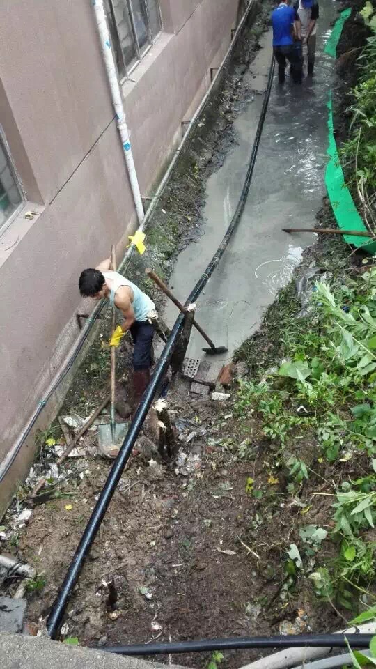 大阳城集团娱乐网