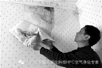 大阳城集团娱乐网