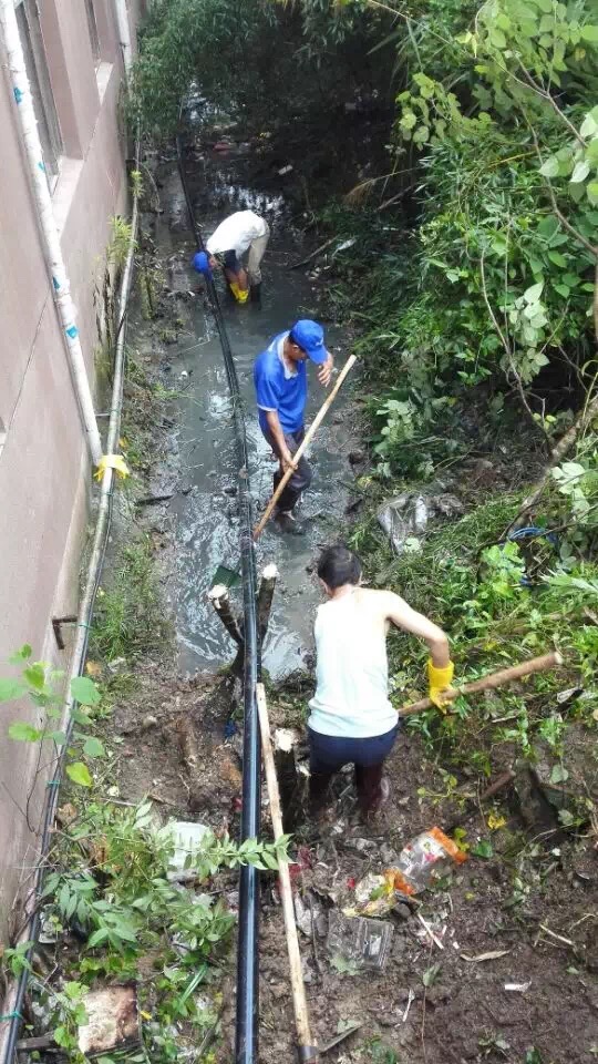 大阳城集团娱乐网