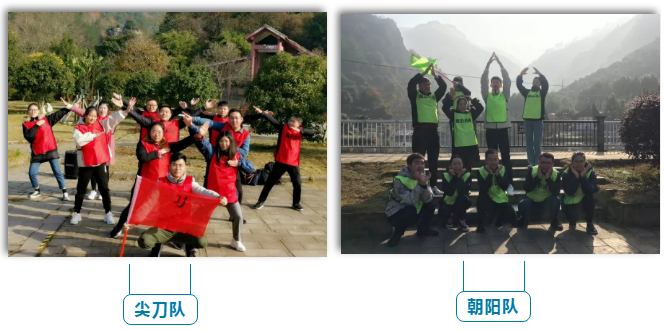 大阳城集团娱乐网