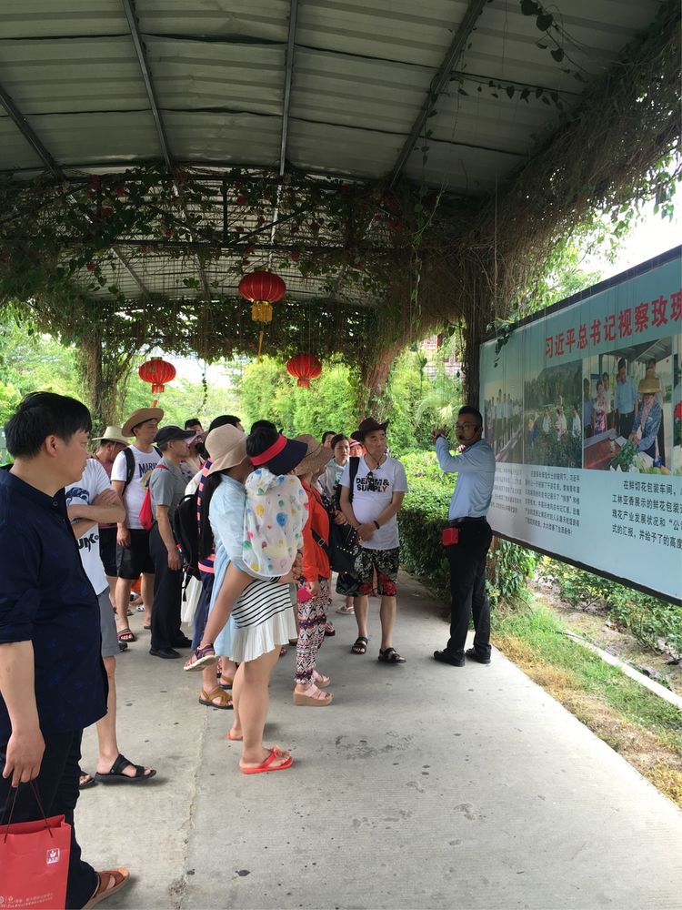 大阳城集团娱乐网