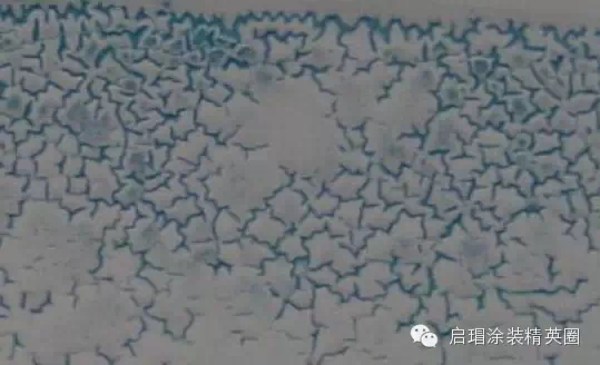 大阳城集团娱乐网