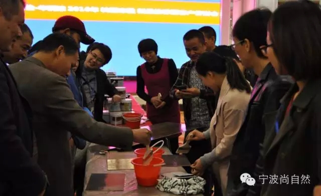 大阳城集团娱乐网