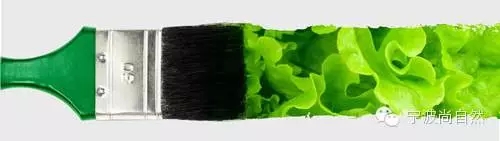 大阳城集团娱乐网