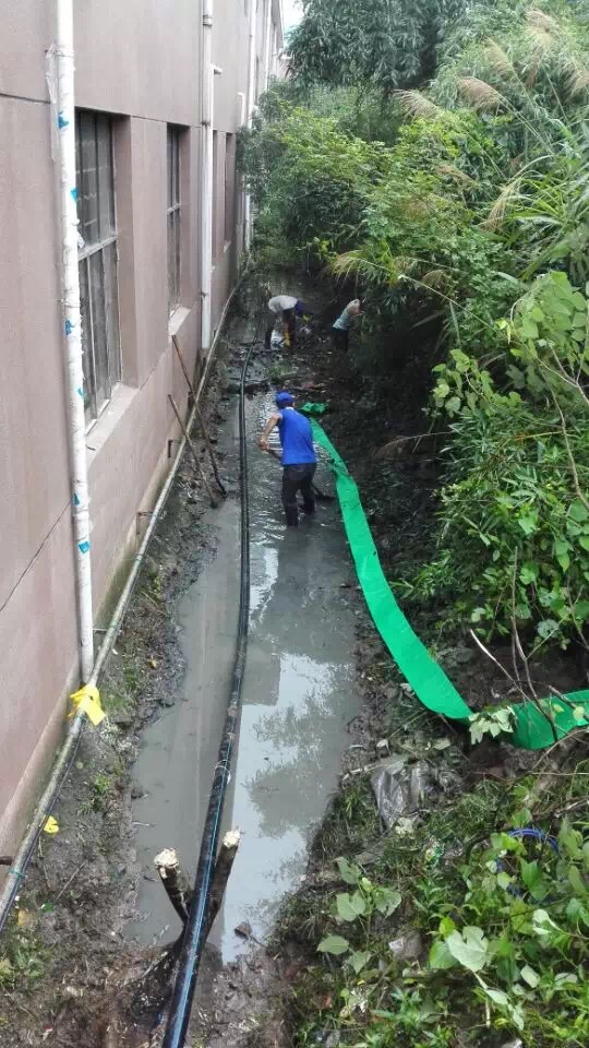 大阳城集团娱乐网