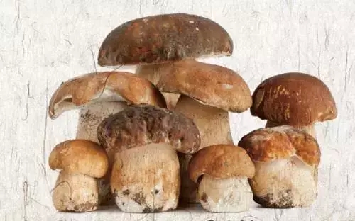 大阳城集团娱乐网