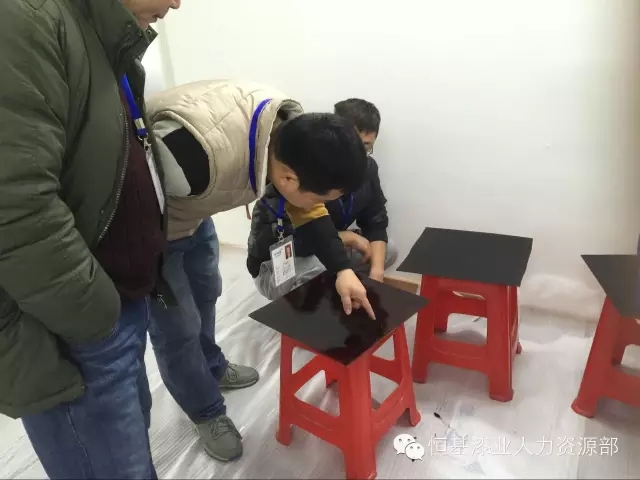 大阳城集团娱乐网