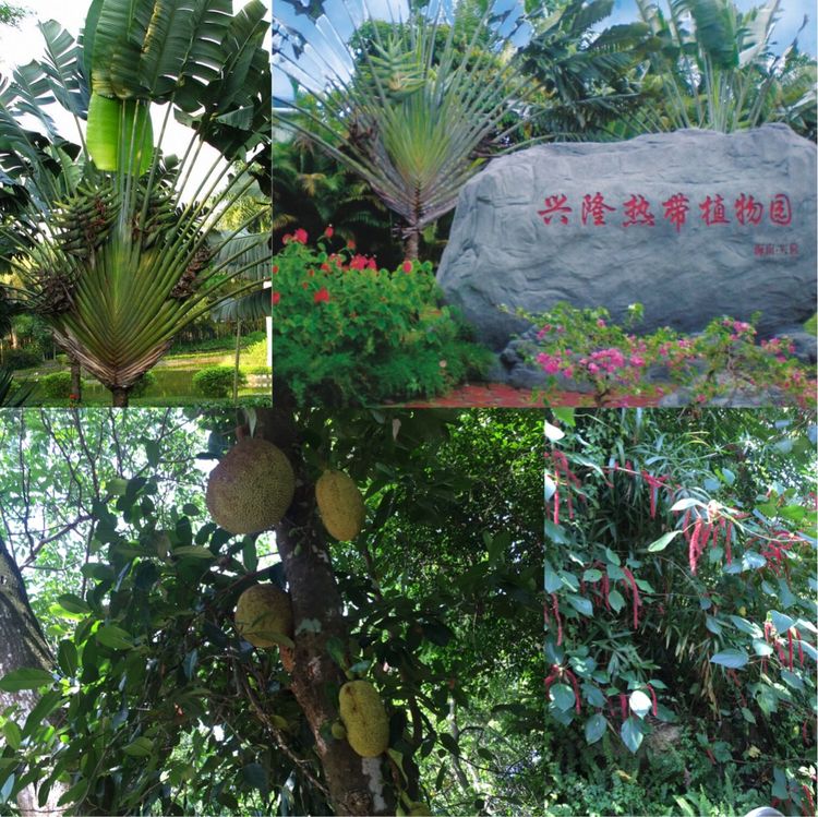 大阳城集团娱乐网