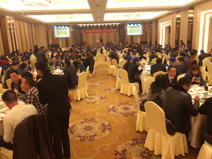 大阳城集团娱乐网