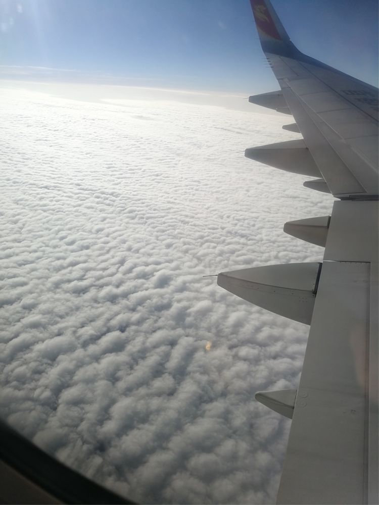 大阳城集团娱乐网