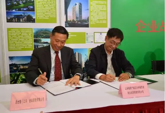 大阳城集团娱乐网