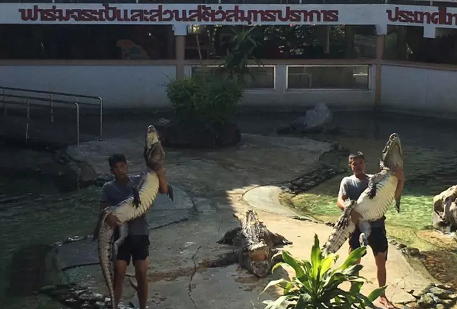 大阳城集团娱乐网