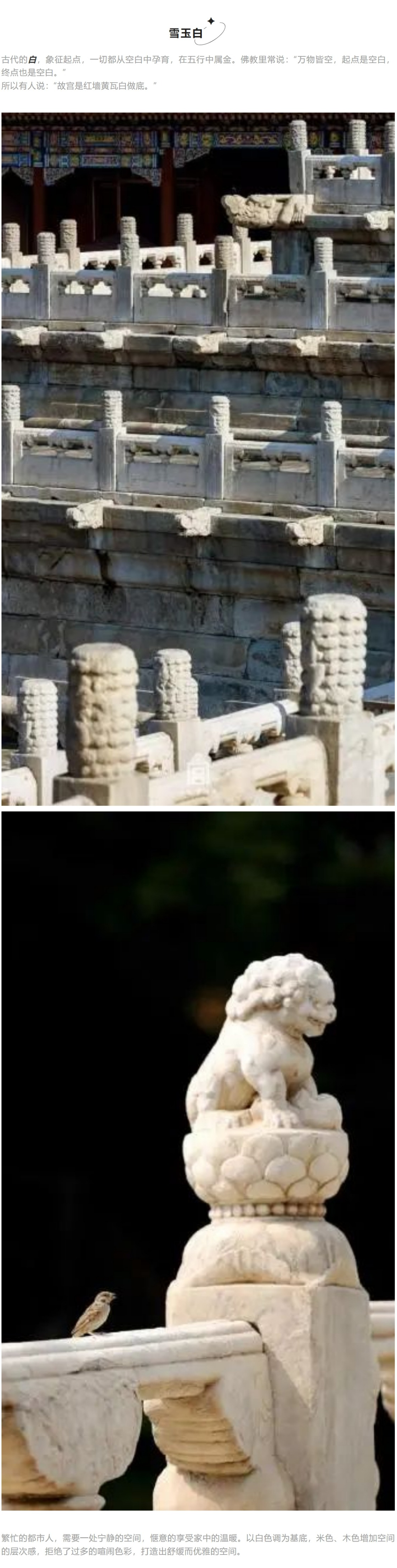 大阳城集团娱乐网